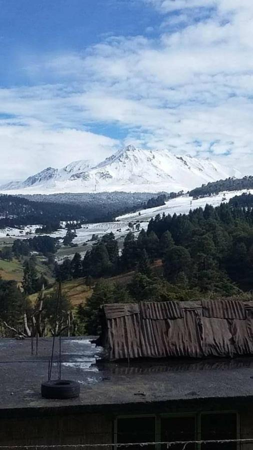 Вілла Toluca Casa Centrica Екстер'єр фото